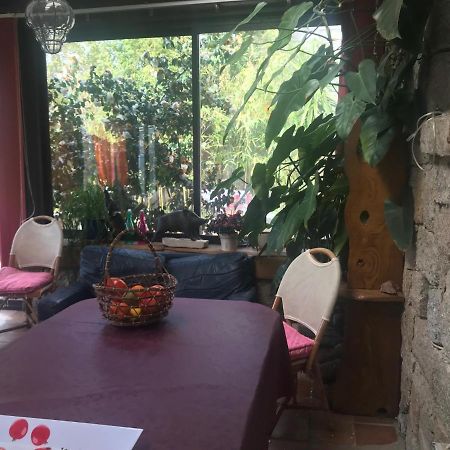 Le Paradis Bed and Breakfast Zicavo Zewnętrze zdjęcie