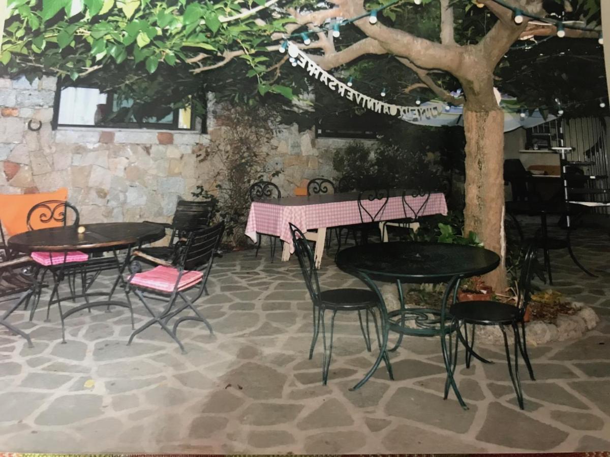 Le Paradis Bed and Breakfast Zicavo Zewnętrze zdjęcie